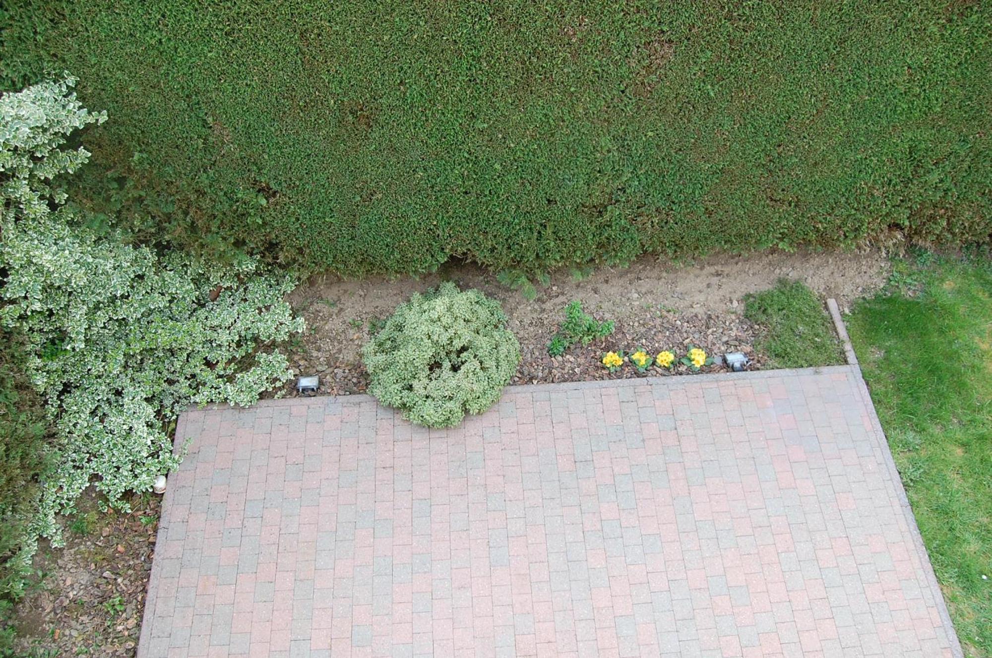 B&B Des Bois Sans Nombre Paliseul Exterior foto